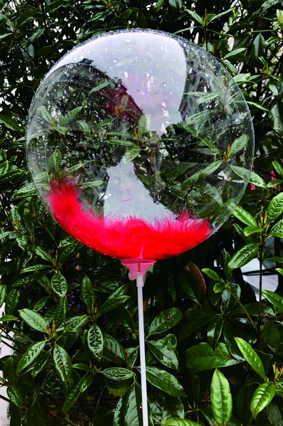 TPU波波球.jpg